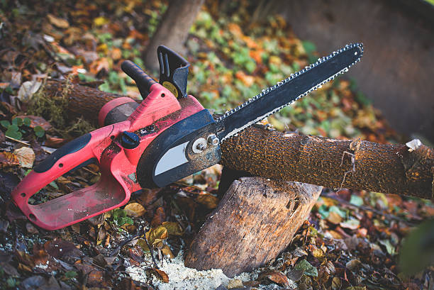 Laie, HI Tree Care Company